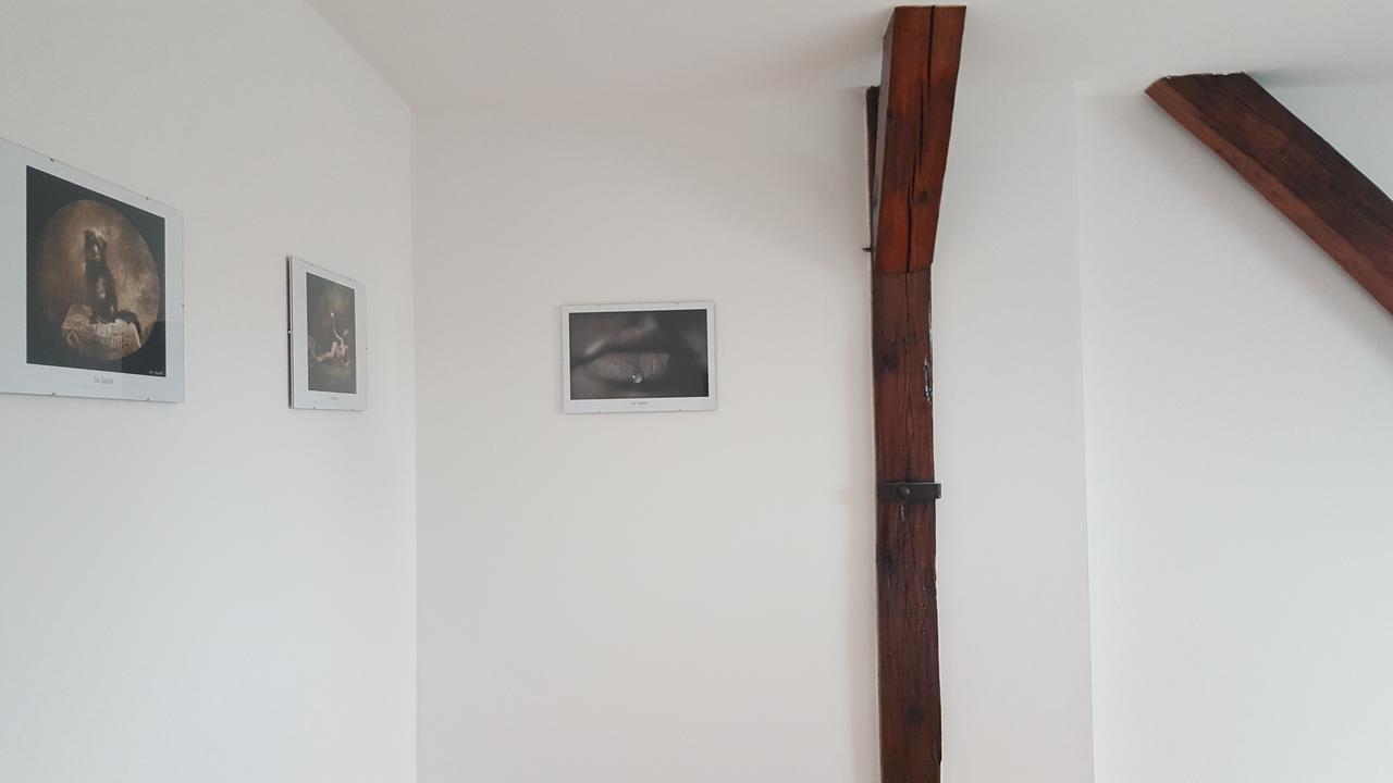 Apartmany Za Sakurou Hodonín Buitenkant foto