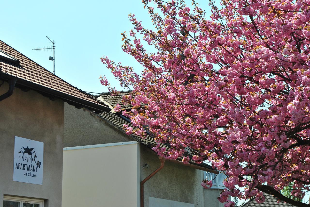 Apartmany Za Sakurou Hodonín Buitenkant foto
